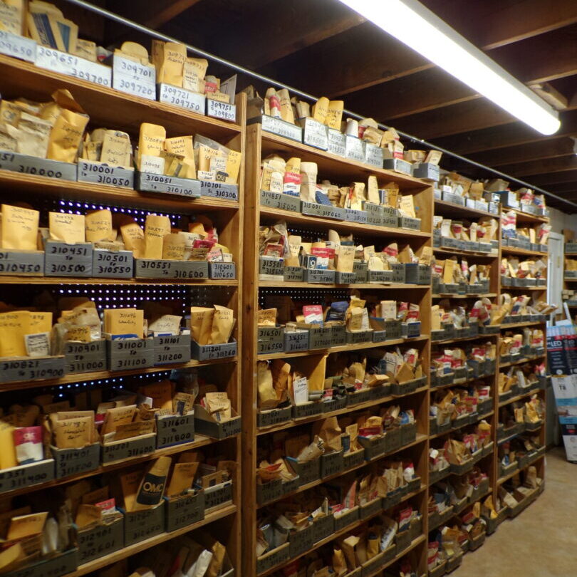 A large room filled with shelves of cheese.